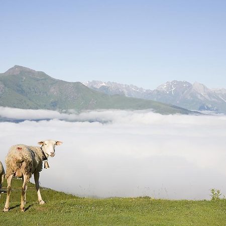 Hotel Le Viscos Saint-Savin  Exteriér fotografie