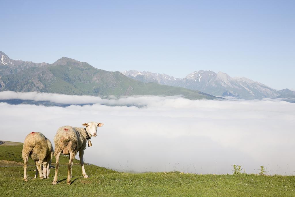 Hotel Le Viscos Saint-Savin  Exteriér fotografie