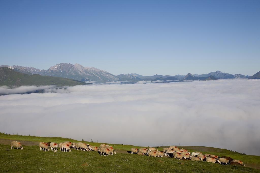 Hotel Le Viscos Saint-Savin  Exteriér fotografie